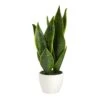 16” Sansevieria Artificial Plant 2 16” Sansevieria Artificial Plant -Artificial Flowers Sale artificial 16 sansevieria artificial plant nearly natural 432834