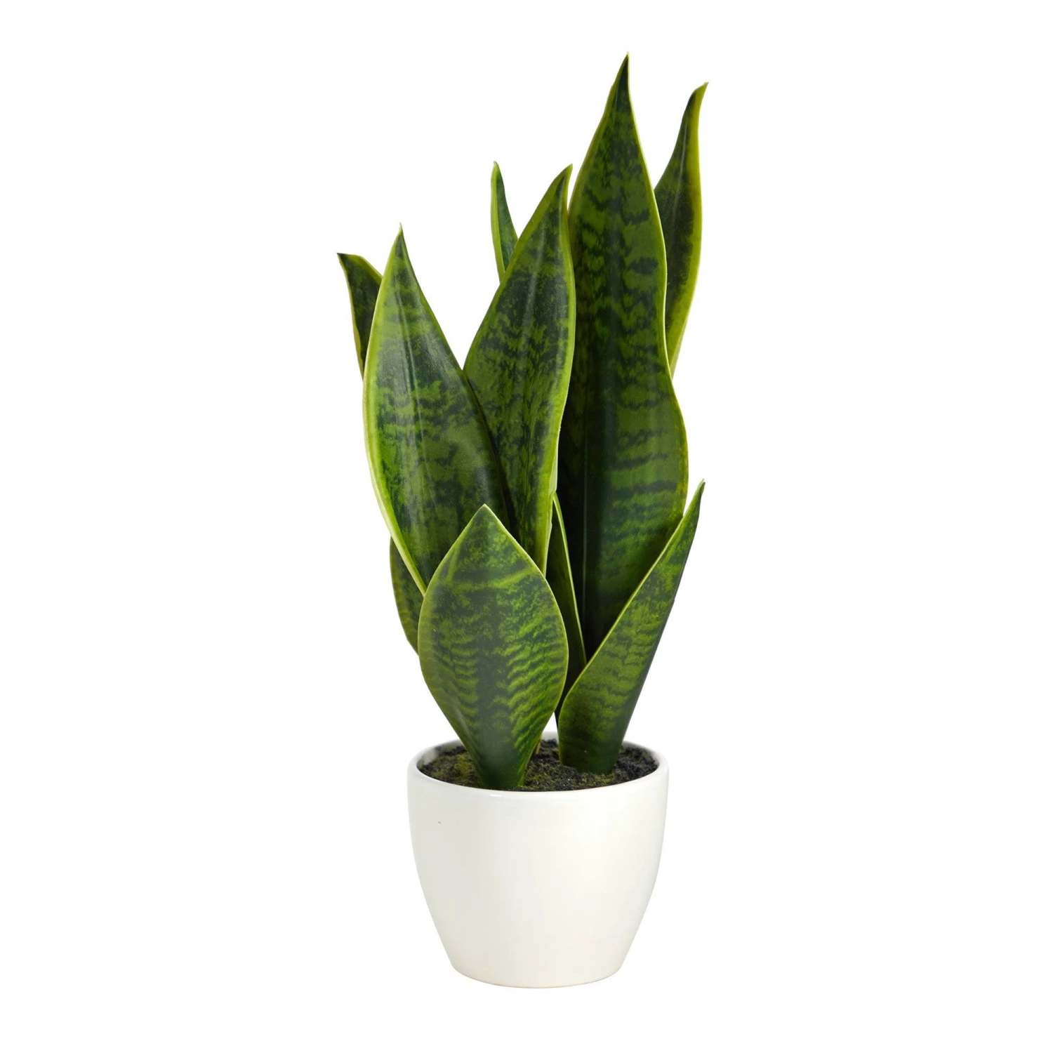 16” Sansevieria Artificial Plant 3 16” Sansevieria Artificial Plant