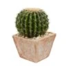 17" Cactus Artificial Plant In Terra Cotta Planter" -Artificial Flowers Sale artificial 17 cactus artificial plant in terra cotta planter nearly natural 670082