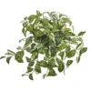 17” Florida Beauty Hanging Artificial Plant (Set Of 4) 2 17” Florida Beauty Hanging Artificial Plant (Set Of 4) -Artificial Flowers Sale artificial 17 florida beauty hanging artificial plant set of 4 nearly natural 393316