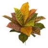 17” Garden Croton Artificial Plant (Real Touch) (Set Of 6) -Artificial Flowers Sale artificial 17 garden croton artificial plant real touch set of 6 nearly natural 975972