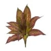 17” Musa Leaf Bush Artificial Plant (Set Of 12) -Artificial Flowers Sale artificial 17 musa leaf bush artificial plant set of 12 nearly natural 824936