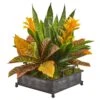 18” Bromeliad, Croton And Sansevieria Artificial Plant In Decorative Tray