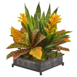 18” Bromeliad, Croton And Sansevieria Artificial Plant In Decorative Tray