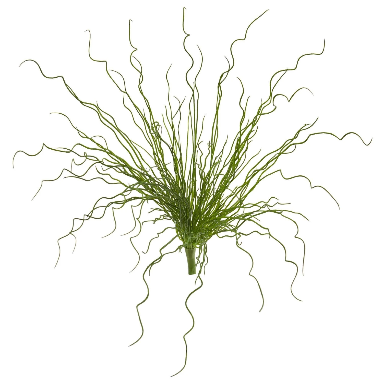 18” Curly Grass Artificial Plant (Set Of 6) 3 18” Curly Grass Artificial Plant (Set Of 6)