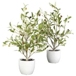 18" Olive Silk Tree W/Vase (Set Of 2)"