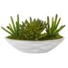 18” Succulent Artificial Plant In Decorative Planter 1 18” Succulent Artificial Plant In Decorative Planter -Artificial Flowers Sale artificial 18 succulent artificial plant in decorative planter nearly natural 152644