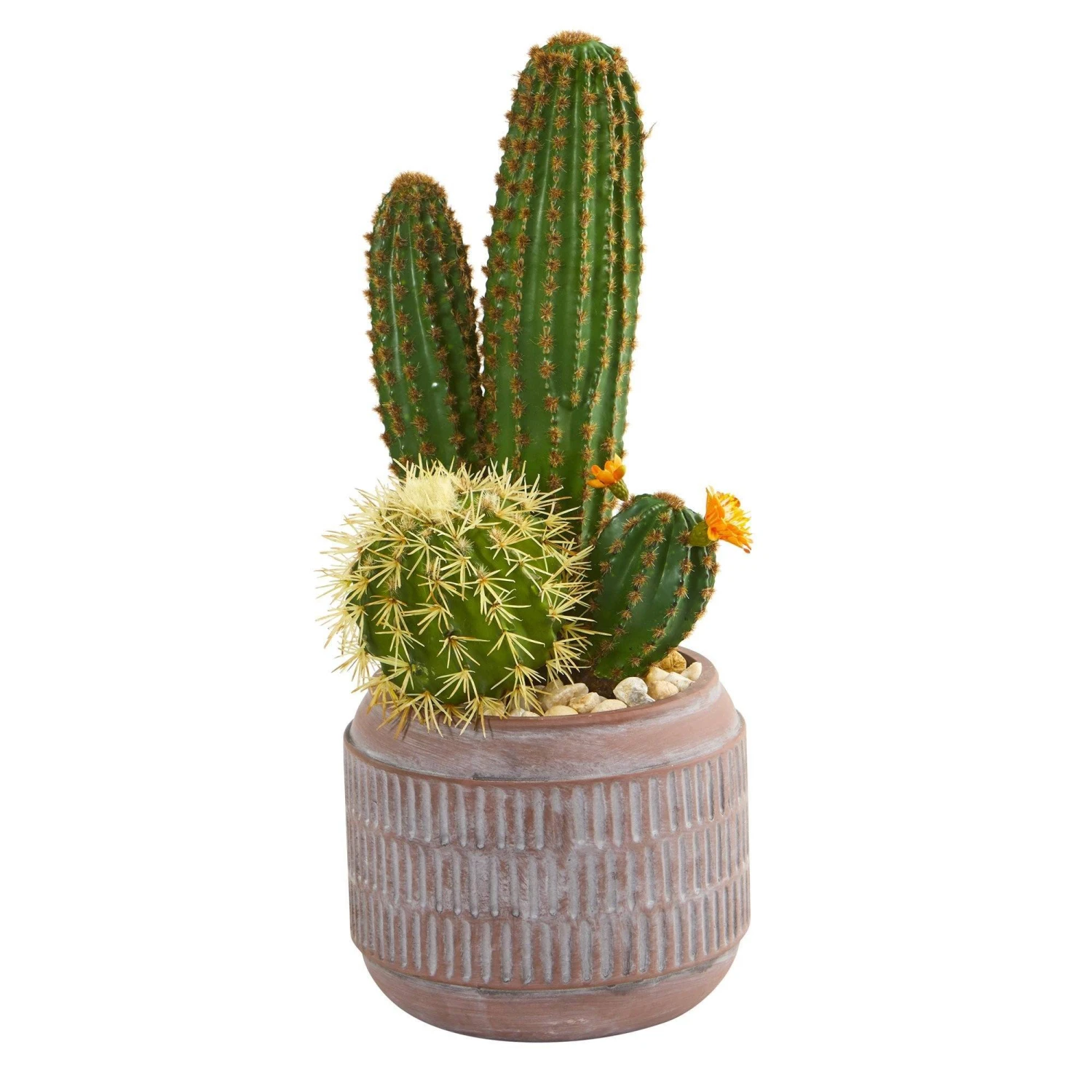 19” Cactus Artificial Plant In Decorative Planter 3 19” Cactus Artificial Plant In Decorative Planter