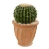 19" Cactus Artificial Plant In Terra Cotta Planter" -Artificial Flowers Sale artificial 19 cactus artificial plant in terra cotta planter nearly natural 916893