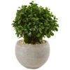 2’ Eucalyptus In Sand Colored Bowl UV Resistant (Indoor/Outdoor) 1 2’ Eucalyptus In Sand Colored Bowl UV Resistant (Indoor/Outdoor) -Artificial Flowers Sale artificial 2 eucalyptus in sand colored bowl uv resistant indooroutdoor nearly natural 745672