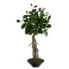 2’ Ficus Bonsai Artificial Tree In Decorative Planter 2 2’ Ficus Bonsai Artificial Tree In Decorative Planter -Artificial Flowers Sale artificial 2 ficus bonsai artificial tree in decorative planter nearly natural 278937