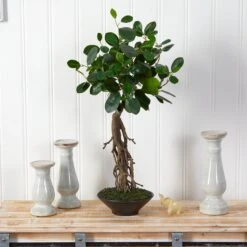 2’ Ficus Bonsai Artificial Tree In Decorative Planter 8 2’ Ficus Bonsai Artificial Tree In Decorative Planter -Artificial Flowers Sale artificial 2 ficus bonsai artificial tree in decorative planter nearly natural 388165