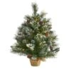 2’ Frosted Pine Artificial Christmas Tree With 35 Clear LED Lights, Pinecones And Burlap Base -Artificial Flowers Sale artificial 2 frosted pine artificial christmas tree with 35 clear led lights pinecones and burlap base nearly natural 981770