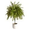 2' Northern Californian Cedar Canopy Artificial Tree In Decorative Planter 2 2' Northern Californian Cedar Canopy Artificial Tree In Decorative Planter -Artificial Flowers Sale artificial 2 northern californian cedar canopy artificial tree in decorative planter nearly natural 740207