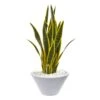 2’ Sansevieria Artificial Plant In White Bowl -Artificial Flowers Sale artificial 2 sansevieria artificial plant in white bowl nearly natural 172097