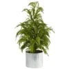 20” Cedar Pine “Natural Look” Artificial Christmas Tree In Decorative Planter 2 20” Cedar Pine “Natural Look” Artificial Christmas Tree In Decorative Planter -Artificial Flowers Sale artificial 20 cedar pine natural look artificial tree in decorative planter nearly natural 318329