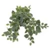 20” Fittonia Artificial Hanging Bush (Set Of 4) 2 20” Fittonia Artificial Hanging Bush (Set Of 4) -Artificial Flowers Sale artificial 20 fittonia artificial hanging bush set of 4 nearly natural 185810