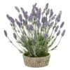 20” Lavender Artificial Plant In Weathered Oak Planter 1 20” Lavender Artificial Plant In Weathered Oak Planter -Artificial Flowers Sale artificial 20 lavender artificial plant in weathered oak planter nearly natural 217077