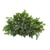20” Mixed Ficus And Fittonia Artificial Ledge Plant 2 20” Mixed Ficus And Fittonia Artificial Ledge Plant -Artificial Flowers Sale artificial 20 mixed ficus and fittonia artificial ledge plant nearly natural 217964