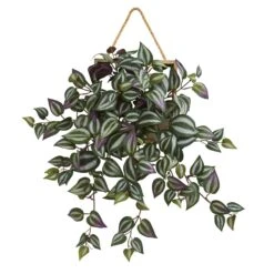 20” Wandering Jew Artificial Plant In Decorative Hanging Frame