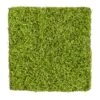 20” X 20” Duckweed Artificial Wall Mat -Artificial Flowers Sale artificial 20 x 20 duckweed artificial wall mat nearly natural 376605