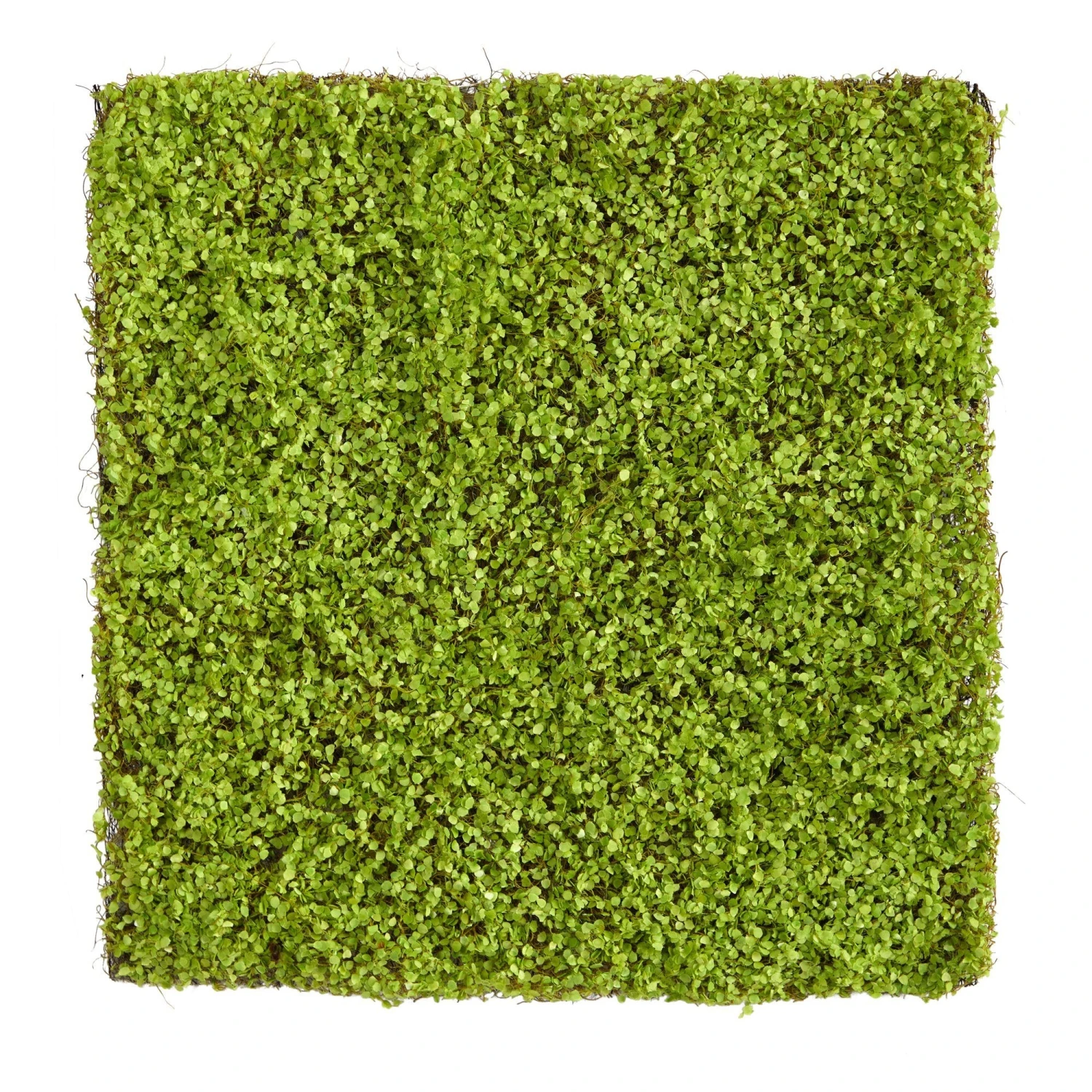 20” X 20” Duckweed Artificial Wall Mat 3 20” X 20” Duckweed Artificial Wall Mat