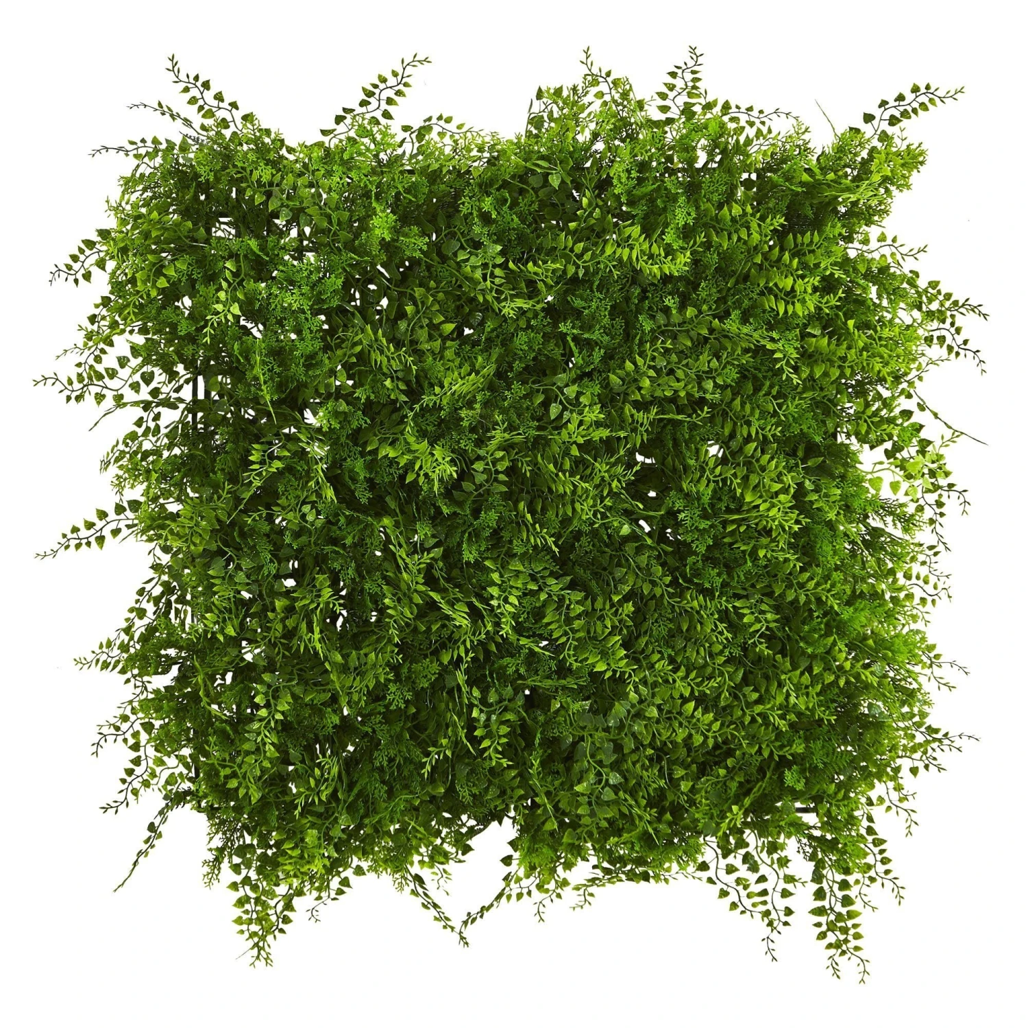 20” X 20” Lush Mediterranean Artificial Fern Wall Panel UV Resistant (Indoor/Outdoor) Trellis 3 20” X 20” Lush Mediterranean Artificial Fern Wall Panel UV Resistant (Indoor/Outdoor) Trellis