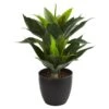 21” Agave Artificial Plant 2 21” Agave Artificial Plant -Artificial Flowers Sale artificial 21 agave artificial plant nearly natural 817584