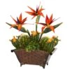21” Bird Of Paradise And Cactus Artificial Plant In Metal Planter -Artificial Flowers Sale artificial 21 bird of paradise and cactus artificial plant in metal planter nearly natural 774604