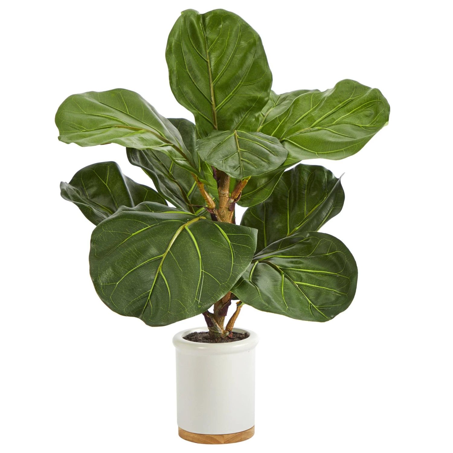 21” Fiddle Leaf Artificial Tree In White Ceramic Planter 3 21” Fiddle Leaf Artificial Tree In White Ceramic Planter