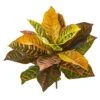 21” Garden Croton Artificial Plant (Real Touch) (Set Of 4) 1 21” Garden Croton Artificial Plant (Real Touch) (Set Of 4) -Artificial Flowers Sale artificial 21 garden croton artificial plant real touch set of 4 nearly natural 878680