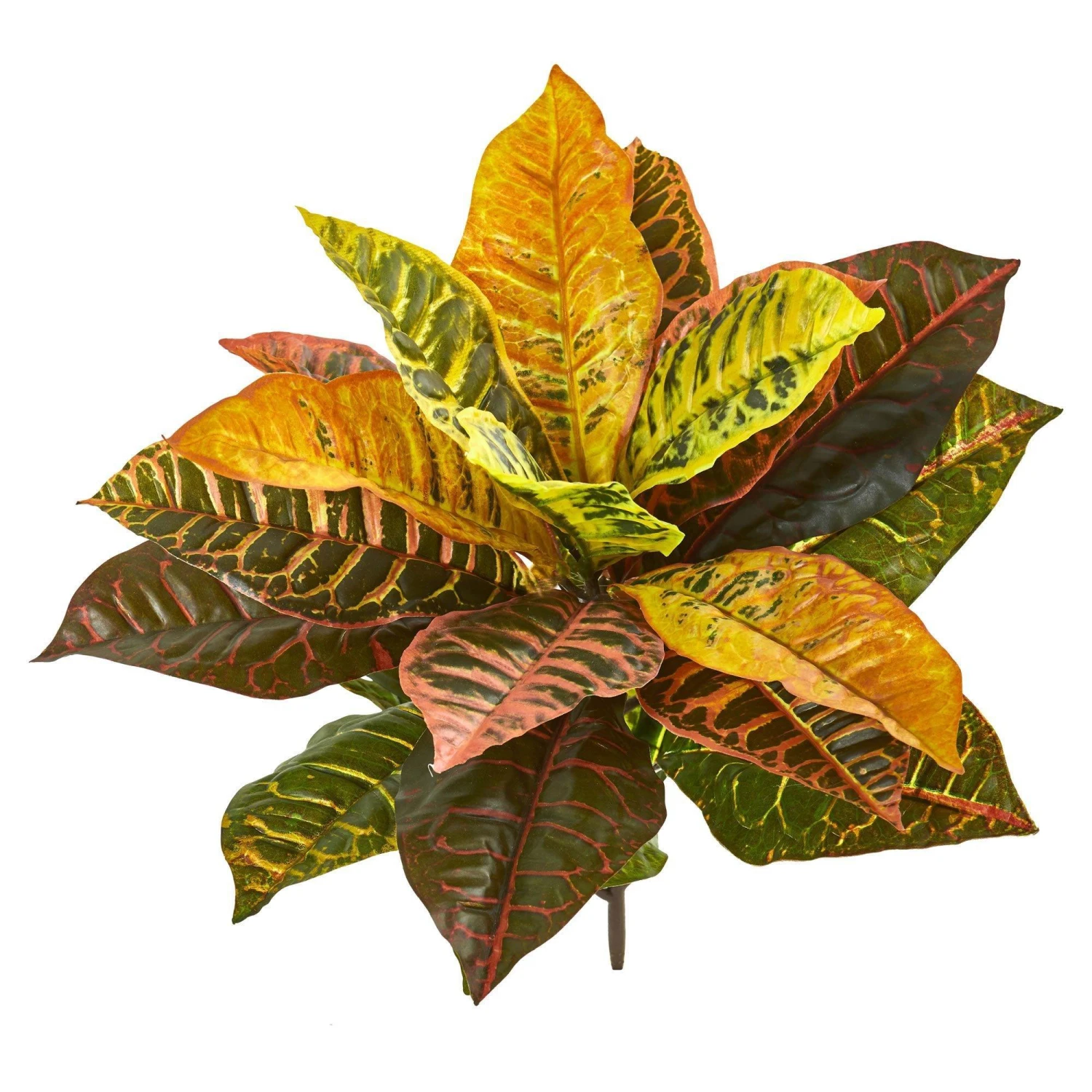 21” Garden Croton Artificial Plant (Real Touch) (Set Of 4) 3 21” Garden Croton Artificial Plant (Real Touch) (Set Of 4)