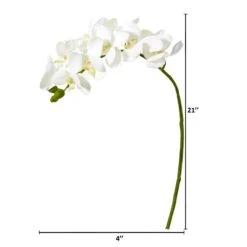 21” Artificial Phalaenopsis Orchid Flower (Set Of 6) 17 21” Artificial Phalaenopsis Orchid Flower (Set Of 6) -Artificial Flowers Sale artificial 21 phalaenopsis orchid artificial flower set of 6 nearly natural 588500