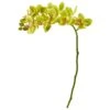 21” Artificial Phalaenopsis Orchid Flower (Set Of 6) 2 21” Artificial Phalaenopsis Orchid Flower (Set Of 6) -Artificial Flowers Sale artificial 21 phalaenopsis orchid artificial flower set of 6 nearly natural green 286948