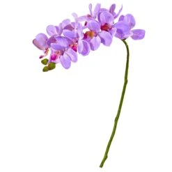 21” Artificial Phalaenopsis Orchid Flower (Set Of 6) 14 21” Artificial Phalaenopsis Orchid Flower (Set Of 6) -Artificial Flowers Sale artificial 21 phalaenopsis orchid artificial flower set of 6 nearly natural purple 454990