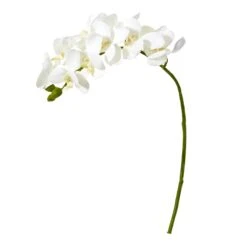 21” Artificial Phalaenopsis Orchid Flower (Set Of 6) 16 21” Artificial Phalaenopsis Orchid Flower (Set Of 6) -Artificial Flowers Sale artificial 21 phalaenopsis orchid artificial flower set of 6 nearly natural white 148310
