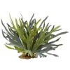 21” Staghorn Fern (Set Of 2) 1 21” Staghorn Fern (Set Of 2) -Artificial Flowers Sale artificial 21 staghorn fern set of 2 nearly natural 467902