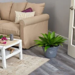 22” Agave Succulent Artificial Plant In Gray Planter 9 22” Agave Succulent Artificial Plant In Gray Planter -Artificial Flowers Sale artificial 22 agave succulent artificial plant in gray planter nearly natural 290909