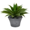22” Agave Succulent Artificial Plant In Gray Planter