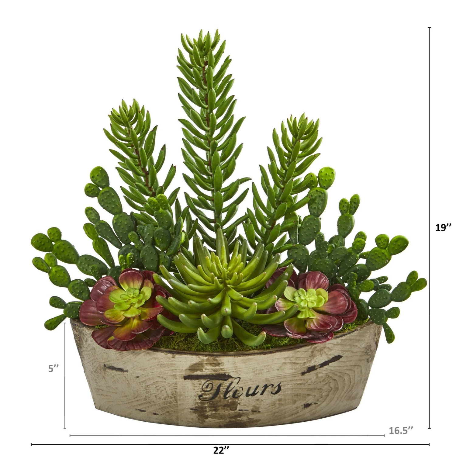 22” Echeveria And Cactus Succulent Artificial Plant In Decorative Planter 4 22” Echeveria And Cactus Succulent Artificial Plant In Decorative Planter - Image 2