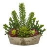 22” Echeveria And Cactus Succulent Artificial Plant In Decorative Planter -Artificial Flowers Sale artificial 22 echeveria and cactus succulent artificial plant in decorative planter nearly natural 612740