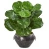 22” Fiddle Leaf Artificial Plant In Decorative Planter