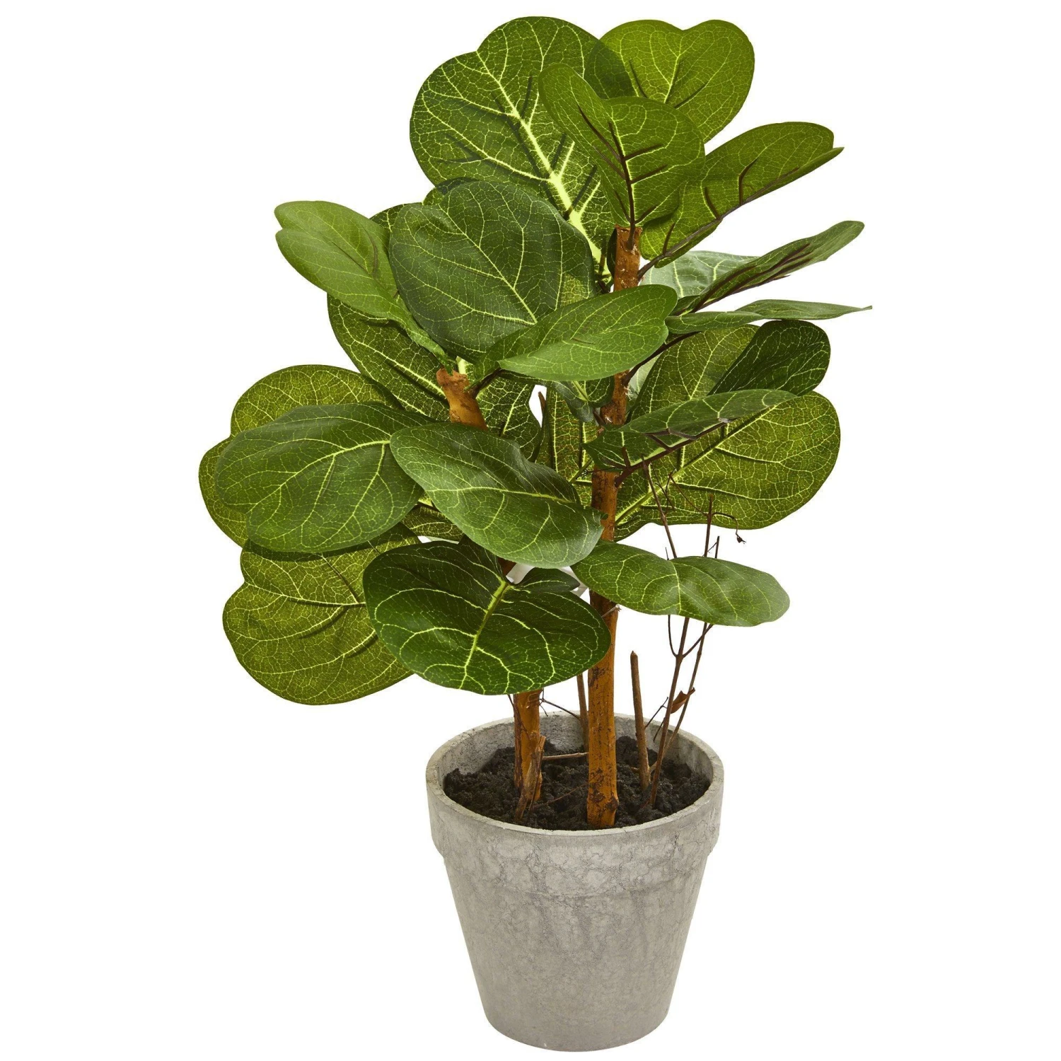 22” Fiddle Leaf Artificial Plant 3 22” Fiddle Leaf Artificial Plant