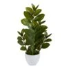 22” Zamioculcas Artificial Plant In White Planter -Artificial Flowers Sale artificial 22 zamioculcas artificial plant in white planter nearly natural 893982