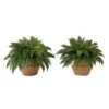 23” Artificial Boston Fern Plant With Handmade Jute & Cotton Basket With Handles DIY KIT - Set Of 2