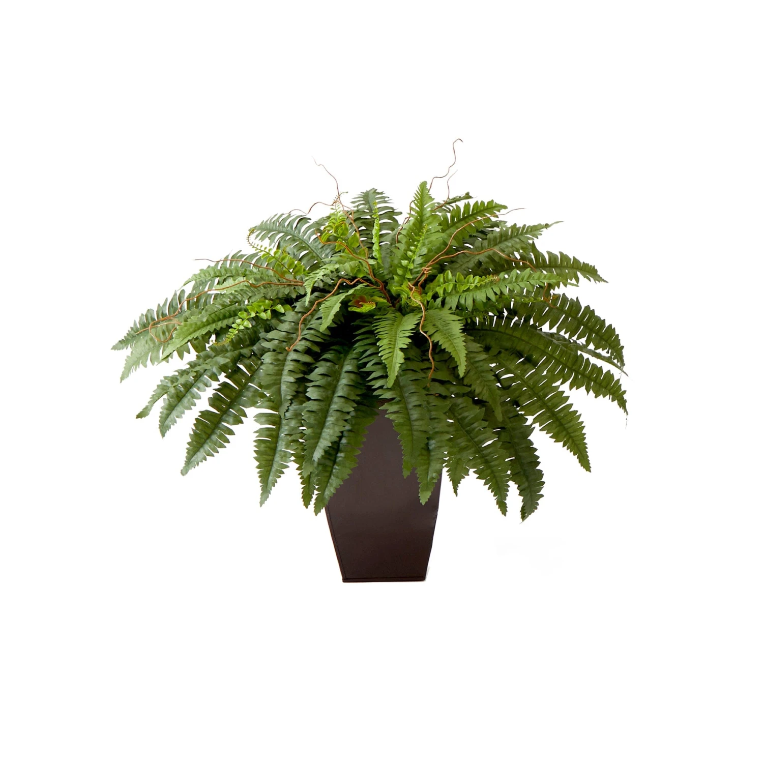23” Artificial Boston Fern Plant With Tapered Bronze Square Metal Planter DIY KIT 3 23” Artificial Boston Fern Plant With Tapered Bronze Square Metal Planter DIY KIT