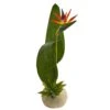 23” Bird Of Paradise And Succulent Artificial Arrangement 2 23” Bird Of Paradise And Succulent Artificial Arrangement -Artificial Flowers Sale artificial 23 bird of paradise and succulent artificial arrangement nearly natural 997180