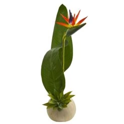 23” Bird Of Paradise And Succulent Artificial Arrangement