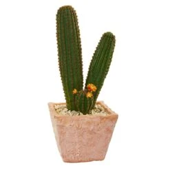 23” Cactus Succulent Artificial Plant In Terra Cotta Planter