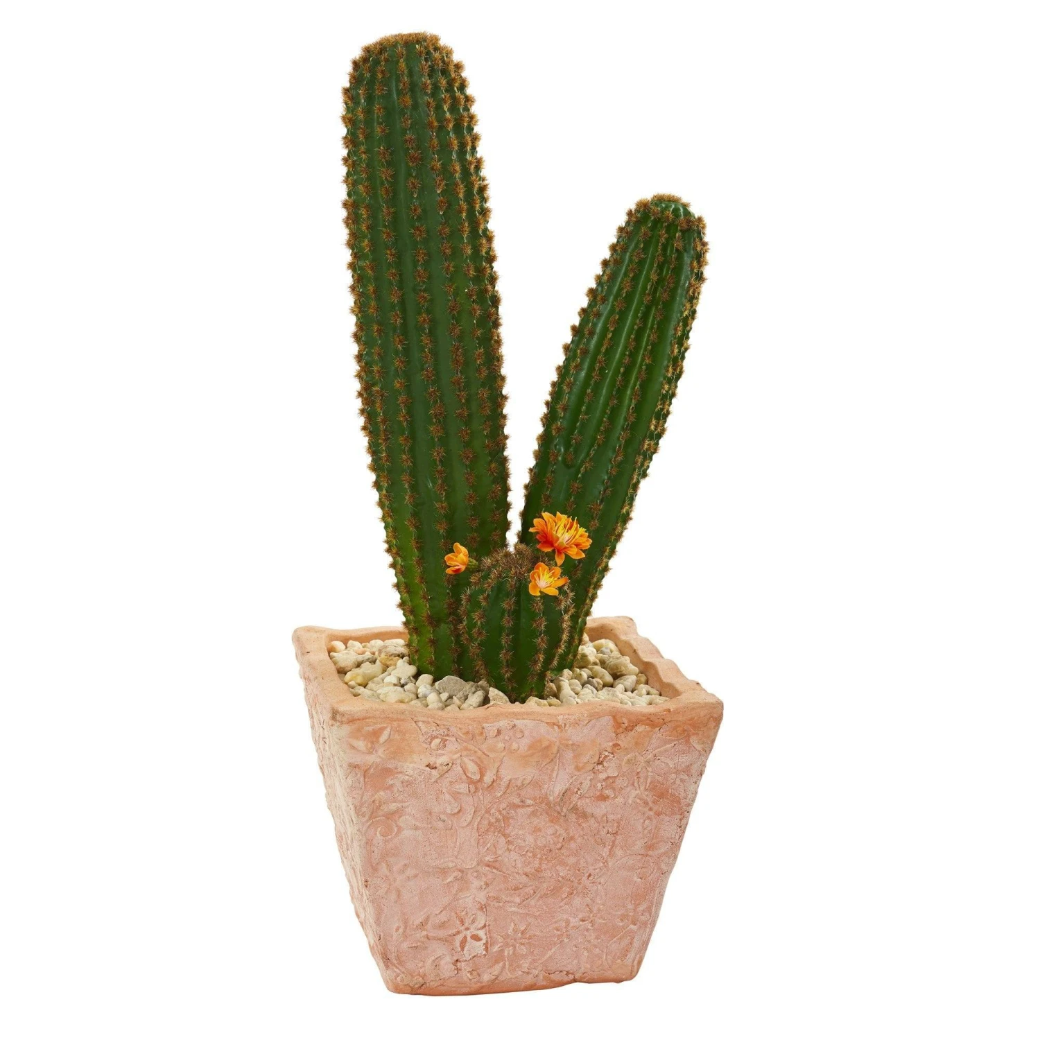 23” Cactus Succulent Artificial Plant In Terra Cotta Planter 3 23” Cactus Succulent Artificial Plant In Terra Cotta Planter